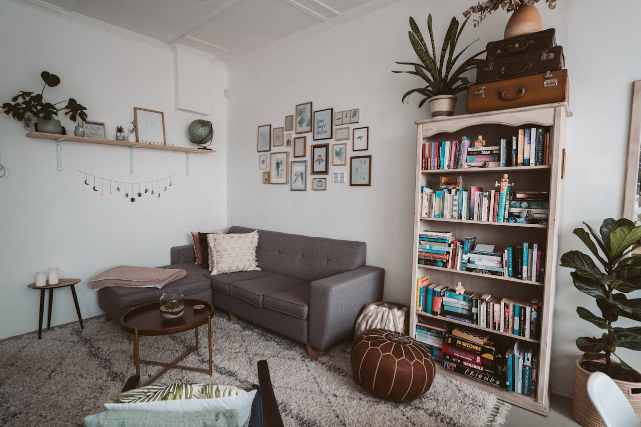 Comfortable living room with a modern sofa, bookshelf and decorative plants.