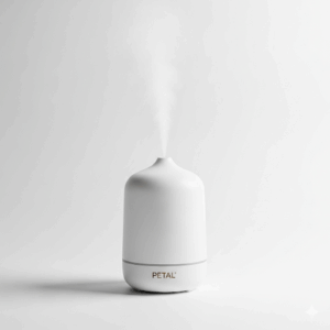 burst ultrasonic essential oil diffuser – ceramic matte finish with led light, wellness & fragrance collection